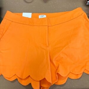 Crown and Ivy shorts NWT